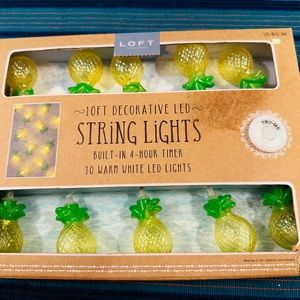 Pineapples Automatic 4 HR TIMER Fairy String LED Lights10-Foot 10-Light Battery